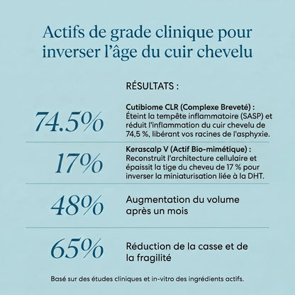 DERMERA: LA PREMIÈRE ARCHITECTURE DE RECONSTRUCTION CELLULAIRE