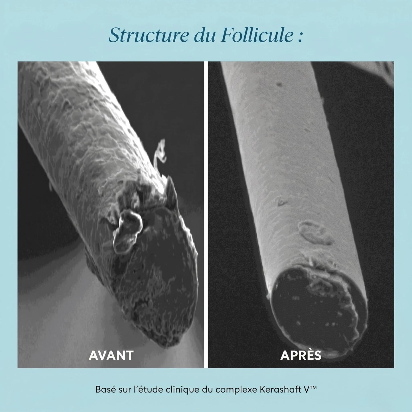 DERMERA: LA PREMIÈRE ARCHITECTURE DE RECONSTRUCTION CELLULAIRE